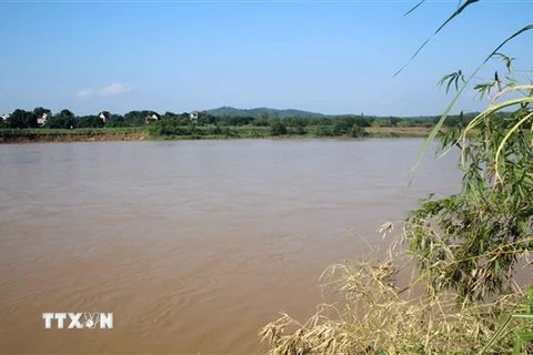 Nhiều diện tích đất bãi bồi ven bờ sông Mã đoạn qua xã Cẩm Vân, huyện Cẩm Thủy, tỉnh Thanh Hóa bị sạt lở. (Ảnh: Nguyễn Nam/TTXVN)