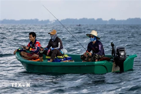 Ngư dân câu cá ngoài khơi vùng biển Mae Ram Phueng, Thái Lan. (Ảnh: AFP/TTXVN)