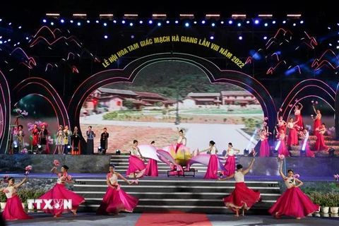 Chương trình nghệ thuật tại Lễ khai mạc Lễ hội hoa Tam Giác Mạch lần thứ 8. (Ảnh: Nam Thái/TTXVN)