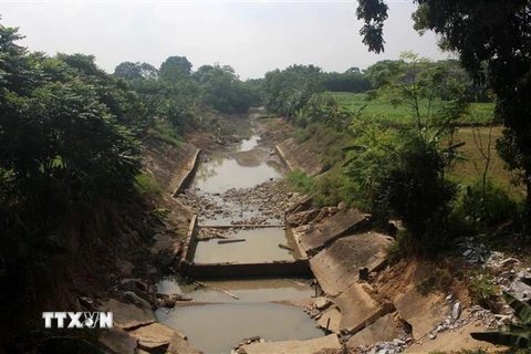 Một bờ kè đã bị sạt lở tại huyện Vĩnh Lộc, tỉnh Thanh Hóa nhưng chưa được sửa chữa. (Ảnh: Nguyễn Nam/TTXVN)