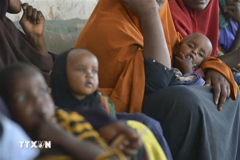 Trẻ em bị suy dinh dưỡng chờ khám bệnh tại một trại tị nạn ở Baidoa, Somalia. (Ảnh: AFP/TTXVN)
