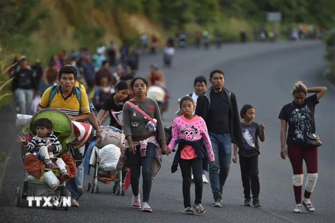 Người di cư di chuyển qua Oaxaca (Mexico) trong hành trình tới Mỹ, ngày 15/11/2021. (Ảnh: AFP/TTXVN)
