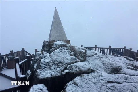 Tuyết rơi phủ trắng đỉnh Fansipan. (Ảnh: Quốc Khánh/TTXVN)