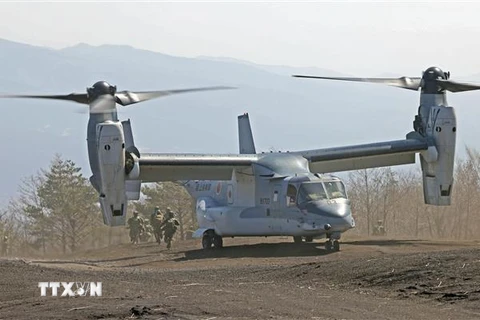 Trực thăng Osprey của Nhật Bản tham gia cuộc tập trận chung Mỹ-Nhật tại chân núi Fuji ngày 15/3. (Ảnh: Kyodo/TTXVN)