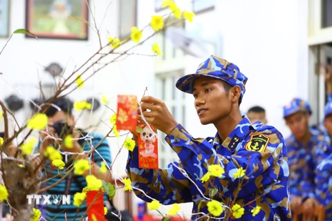 Các chiến sỹ trên đảo Song Tử Tây sáng tạo, khéo léo trang trí cây mai vàng từ hoa giấy. (Ảnh: Ngọc Đức/TTXVN)
