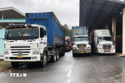 Các phương tiện vận tải hàng hóa đang chờ làm thủ tục thông quan tại Cửa khẩu Quốc tế Lao Bảo. (Ảnh: Thanh Thủy/TTXVN)