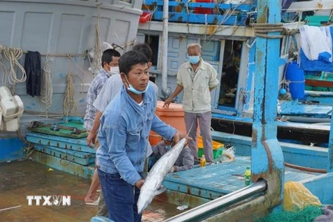 Vận chuyển cá lên bờ vào sáng 25 Tết tại cảng Bến Đá, thành phố Vũng Tàu. (Ảnh: Hoàng Nhị/TTXVN)