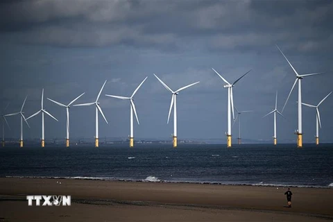 Trang trại gió ngoài khơi bờ biển Redcar, Anh. (Ảnh: AFP/TTXVN)