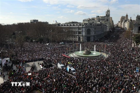 Người dân tham gia biểu tình yêu cầu tăng cường đầu tư cho dịch vụ y tế công, tại Madrid, Tây Ban Nha, ngày 12/2/2023. (Ảnh: AFP/TTXVN)