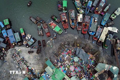 Chợ cá Bến Do trên vịnh Bái Tử Long. (Ảnh: Huy Hùng/TTXVN)