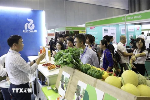 Doanh nghiệp giới thiệu các loại nông sản tại HortEx Vietnam 2023. (Ảnh: Xuân Anh/TTXVN)