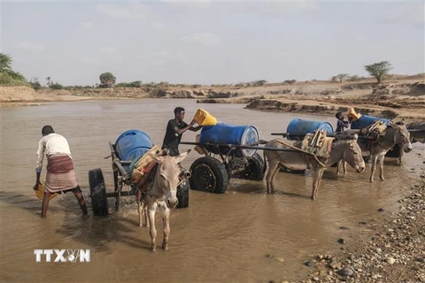 Người dân múc nước sông để sinh hoạt tại Gode, Ethiopia, ngày 8/4/2022. (Ảnh: AFP/TTXVN)