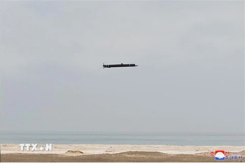 Một trong các tên lửa hành trình chiến lược Hwasal của Triều Tiên được phóng thử tại tỉnh Nam Hamgyong. (Ảnh: AFP/TTXVN)