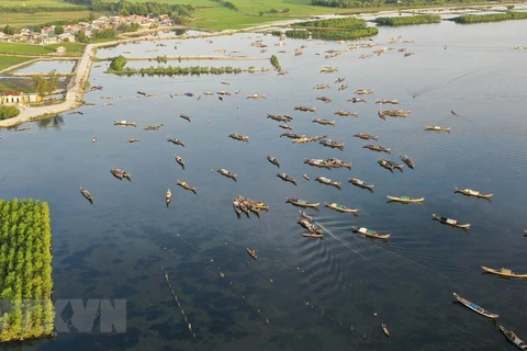 Làng chài ngư dân trên đầm Phá Tam Giang thuộc khu vực xã Quảng Lợi, huyện Quảng Điền. (Ảnh: Hồ Cầu/TTXVN)