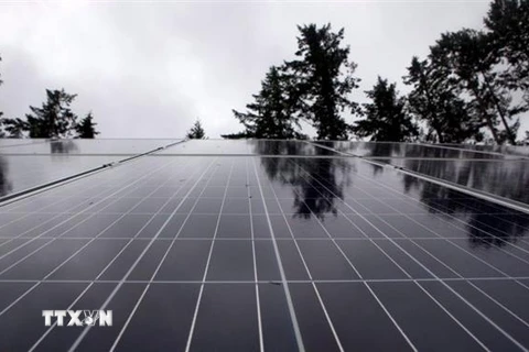 Các tấm pin năng lượng mặt trời trên đảo Lasqueti, British Columbia, Canada. (Ảnh: THE CANADIAN PRESS/TTXVN)