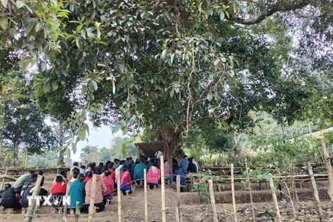 Không gian diễn ra Lễ cúng bản của cộng đồng dân tộc Lào diễn ra dưới tán cây to nhiều năm tuổi, được cộng đồng cho là cây thiêng, giữ hồn bản, hồn mường. (Ảnh: TTXVN phát)