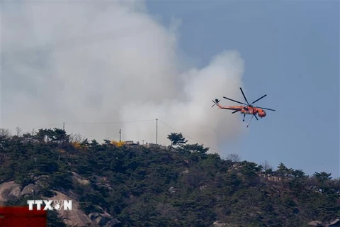 Khói bốc lên từ đám cháy rừng trên núi Inwang ở Seoul, Hàn Quốc, ngày 2/4/2023. (Ảnh: THX/ TTXVN)