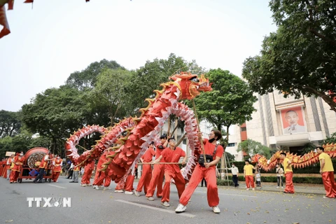 Đội múa rồng biểu diễn trên phố Đinh Tiên Hoàng. (Ảnh: Nhật Anh/TTXVN)