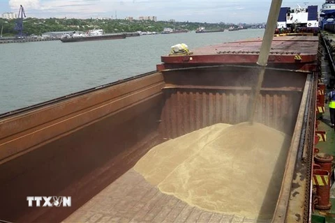 Lúa mỳ được bốc lên tàu chở hàng tại cảng quốc tế Rostov-on-Don, Nga. (Ảnh: AFP/TTXVN)