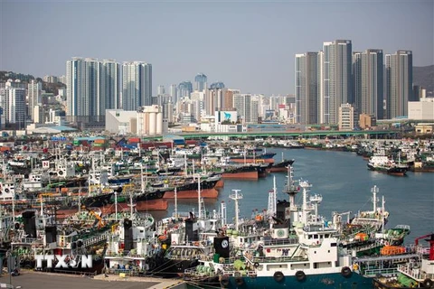 Cảng Busan, Hàn Quốc. (Ảnh: THX/ TTXVN)