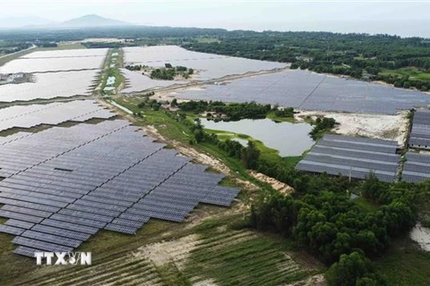 Nhà máy Điện mặt trời Cẩm Hòa có diện tích 60 ha, được lắp đặt 152.670 tấm pin mặt trời và giá đỡ (tương đương 5.089 giàn pin). (Ảnh: Vũ Sinh/TTXVN)