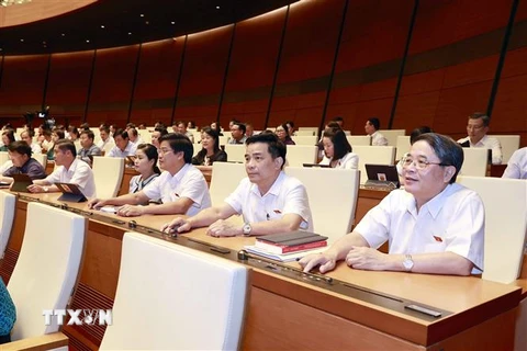Đoàn đại biểu Quốc hội tỉnh Quảng Nam biểu quyết thông qua Nghị quyết về việc thành lập Đoàn giám sát chuyên đề của Quốc hội năm 2024; Luật sửa đổi, bổ sung một số điều của Luật Công an Nhân dân. (Ảnh: Doãn Tấn/TTXVN)