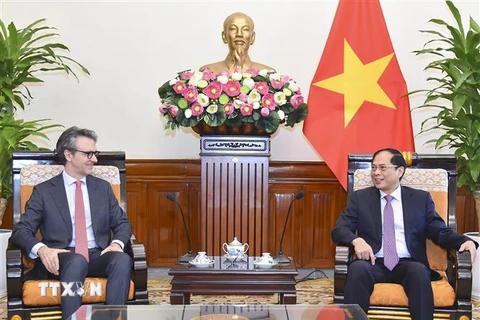 Bộ trưởng Ngoại giao Bùi Thanh Sơn tiếp Đại sứ, Trưởng phái đoàn Liên minh châu Âu (EU) tại Việt Nam Giorgio Aliberti. (Ảnh: TTXVN phát)