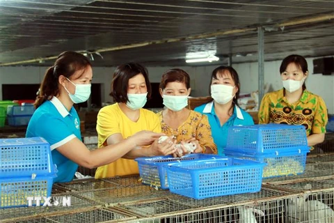 Thực hiện Đề án “Hỗ trợ phụ nữ khởi nghiệp” giai đoạn 2017-2025 của Chính phủ (Đề án 939), 5 năm qua, các cấp Hội phụ nữ tỉnh Nam Định đã tổ chức đào tạo 304 lớp cho trên 10.600 người (trong đó, hơn 9.000 lao động có việc làm sau đào tạo), đạt 86%. (Ảnh: