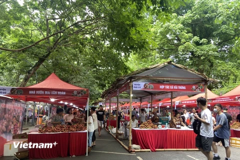 Chợ vải Hưng Yên. (Nguồn: Vietnam+)