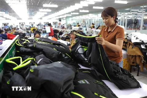 Sản xuất hàng may mặc xuất khẩu ở Công ty may Hiếu Lộc, xã Bình Định, huyện Kiến Xương. (Ảnh: Vũ Sinh/TTXVN)