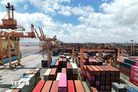 Cẩu tháp và kho bãi chứa container tại Cảng hải Phòng. (Ảnh minh họa: Tuấn Anh/TTXVN)
