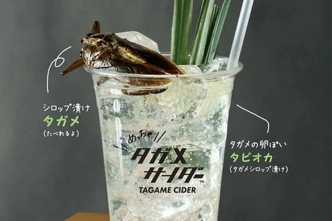 Đồ uống với côn trùng tại Nhật Bản. (Nguồn: TimeOut)