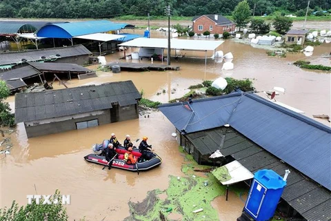 Lực lượng cứu hộ tìm kiếm nạn nhân mất tích tại khu vực ngập lụt do mưa lớn gây ra bởi bão Khanun ở thành phố Daegu, Hàn Quốc ngày 10/8/2023. (Ảnh: YONHAP/TTXVN)