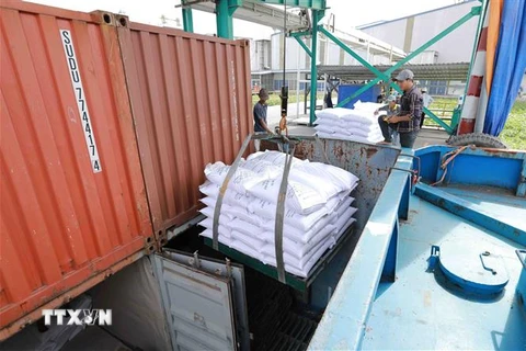 Bốc xếp, vận chuyển gạo xuất khẩu tại Công ty TNHH gạo Vinh Phát ở thành phố Long Xuyên, An Giang. (Ảnh: Vũ Sinh/TTXVN))