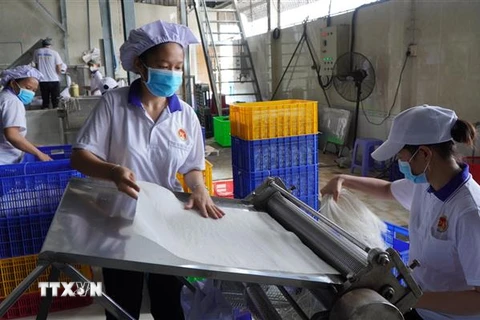 Sản xuất sản phẩm sau gạo tại Cơ sở Thực phẩm Phú Khang 2, thành phố Sa Đéc, tỉnh Đồng Tháp. (Ảnh: Nhựt An/TTXVN)