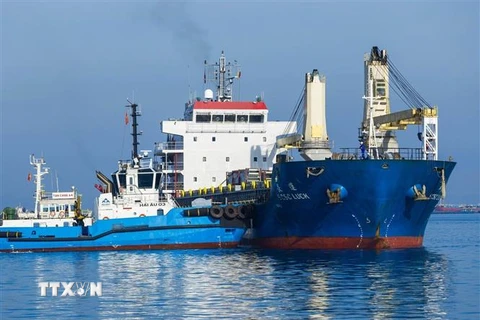 Bến số 6 Cảng Tổng hợp Container Hòa Phát Dung Quất đón chuyến tàu thương mại đầu tiên MV SCSC LUCK có trọng tải trên 8.300 DWT. (Ảnh: TTXVN)