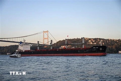 Tàu chở ngũ cốc di chuyển dọc Eo biển Bosphorus, ở Istanbul, Thổ Nhĩ Kỳ, ngày 2/11/2022. (Ảnh: AFP/TTXVN)