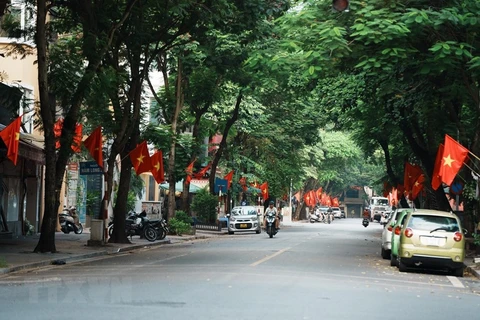 Cờ Tổ quốc rực đỏ khắp phố phường Hà Nội. (Ảnh: Phạm Tuấn Anh/TTXVN)