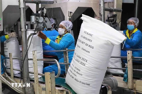 Sản xuất, chế biến gạo tại An Giang. (Ảnh: Vũ Sinh/TTXVN)
