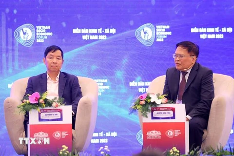 Ông Nguyễn Đình Cung (bên phải), nguyên Viện trưởng Viện Nghiên cứu Quản lý Kinh tế Trung ương (CIEM) chia sẻ tại phiên toàn thể. (Ảnh: Văn Điệp/TTXVN)