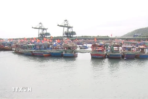 Khu neo đậu tàu thuyền của ngư dân xã Hải Hà, thị xã Nghi Sơn, Thanh Hóa. (Ảnh: TTXVN phát)