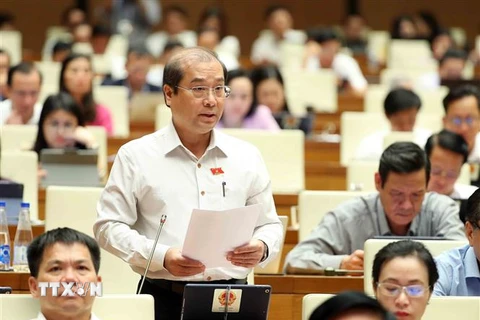 Đại biểu Quốc hội tỉnh An Giang Trình Nam Sinh phát biểu. (Ảnh minh họa: An Đăng/TTXVN)