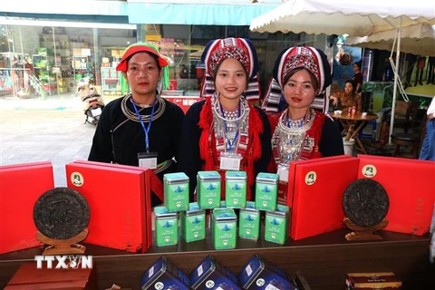Nhiều sản phẩm chè Shan tuyết tiêu biểu của Hà Giang được trưng bày, giới thiệu tại "Không gian trưng bày sản phẩm tiêu biểu vùng Đông Bắc". (Ảnh: Minh Tâm/TTXVN)
