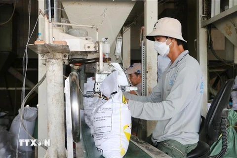 Đóng gói gạo xuất khẩu tại Công ty Cổ phần xuất nhập khẩu Nông sản thực phẩm An Giang. (Ảnh: Công Mạo/TTXVN)