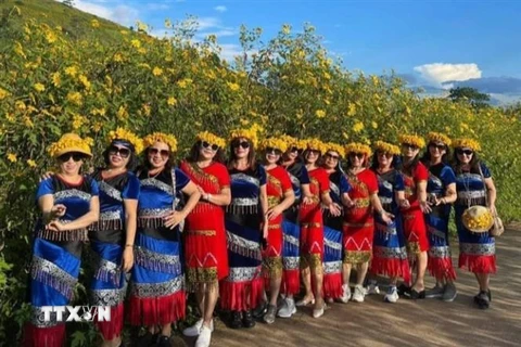 Du khách chụp ảnh lưu niệm tại Tuần lễ hoa Dã quỳ - núi lửa Chư Đang Ya năm 2023. (Ảnh: Hồng Điệp/TTXVN)
