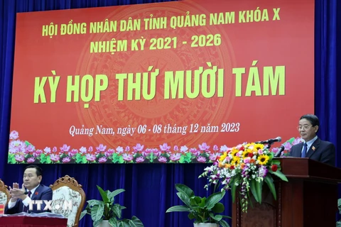 Phó Chủ tịch Quốc hội Nguyễn Đức Hải phát biểu tại Kỳ họp. (Ảnh Trần Tĩnh/TTXVN)