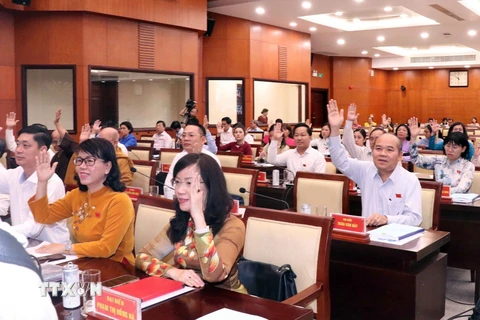 Các đại biểu thông qua Nghị quyết xác nhận kết quả lấy phiếu tín nhiệm đối với các chức danh do Hội đồng Nhân dân Thành phố Hồ Chí Minh bầu. (Ảnh: Xuân Khu/TTXVN)