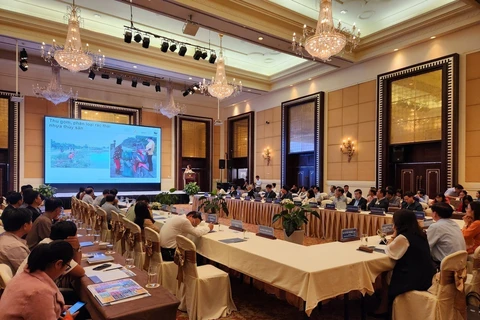 Hội thảo đánh giá kết quả thực hiện Dự án "Huế - Đô thị giảm nhựa ở miền Trung Việt Nam" năm 2023. (Ảnh: Mai Trang/TTXVN)