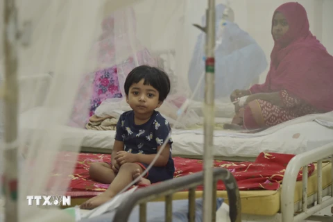Điều trị cho bệnh nhân mắc sốt xuất huyết tại bệnh viện ở Dhaka, Bangladesh, ngày 20/11/2023. (Ảnh: THX/TTXVN)