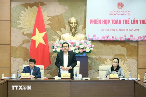 Phó Chủ tịch Thường trực Quốc hội Trần Thanh Mẫn phát biểu chỉ đạo. (Ảnh: Minh Đức/TTXVN)